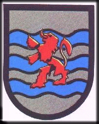 MI ESCUDO DE ARMAS